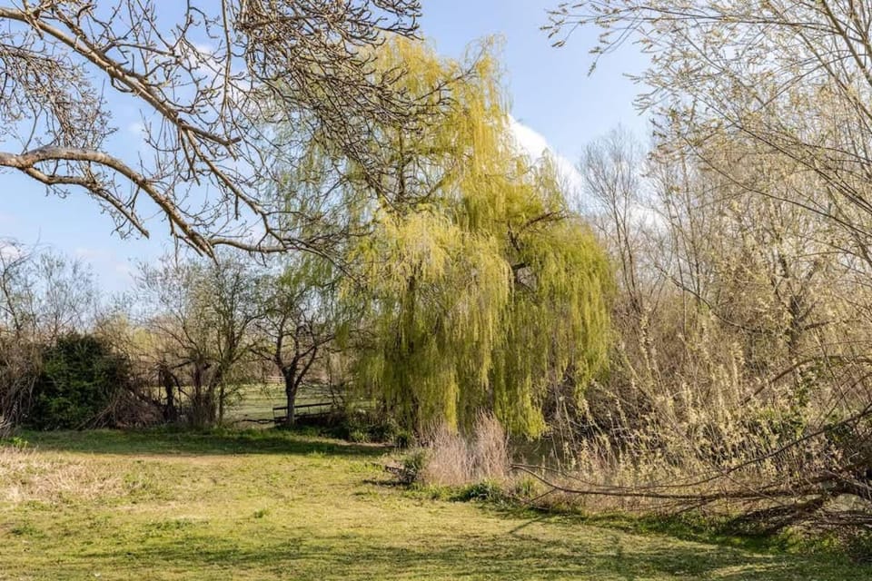 Spacious Riverside View Bungalow House in Oxford