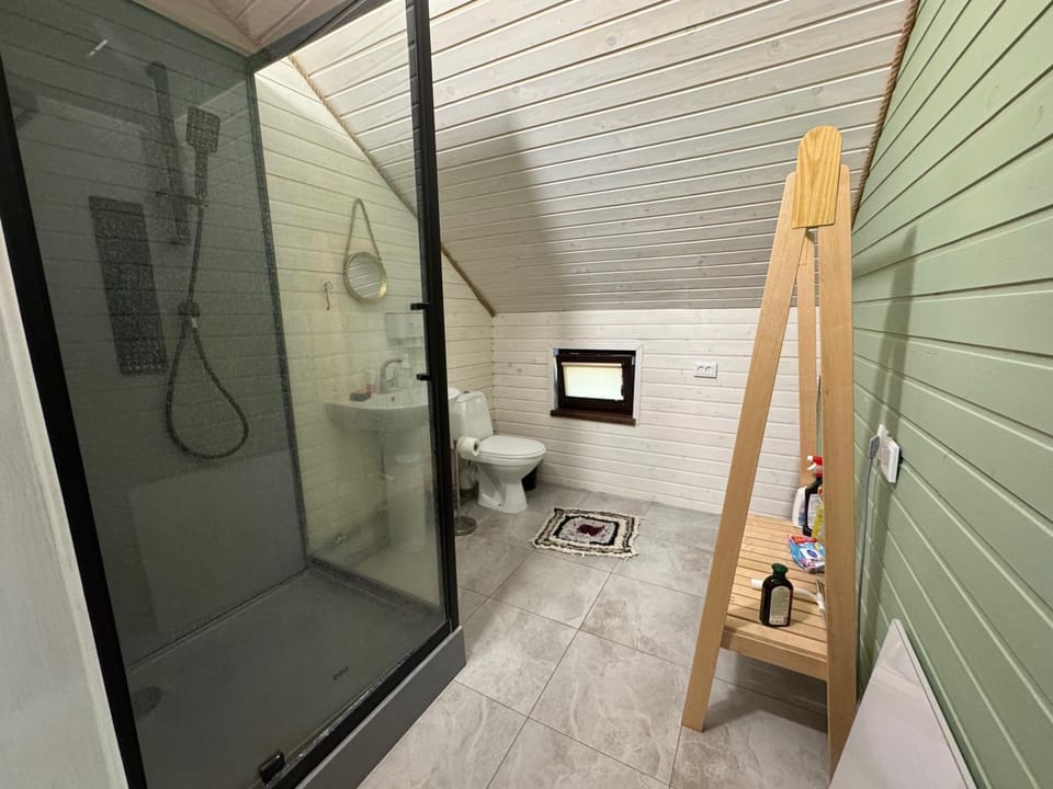 Shower, Toilet