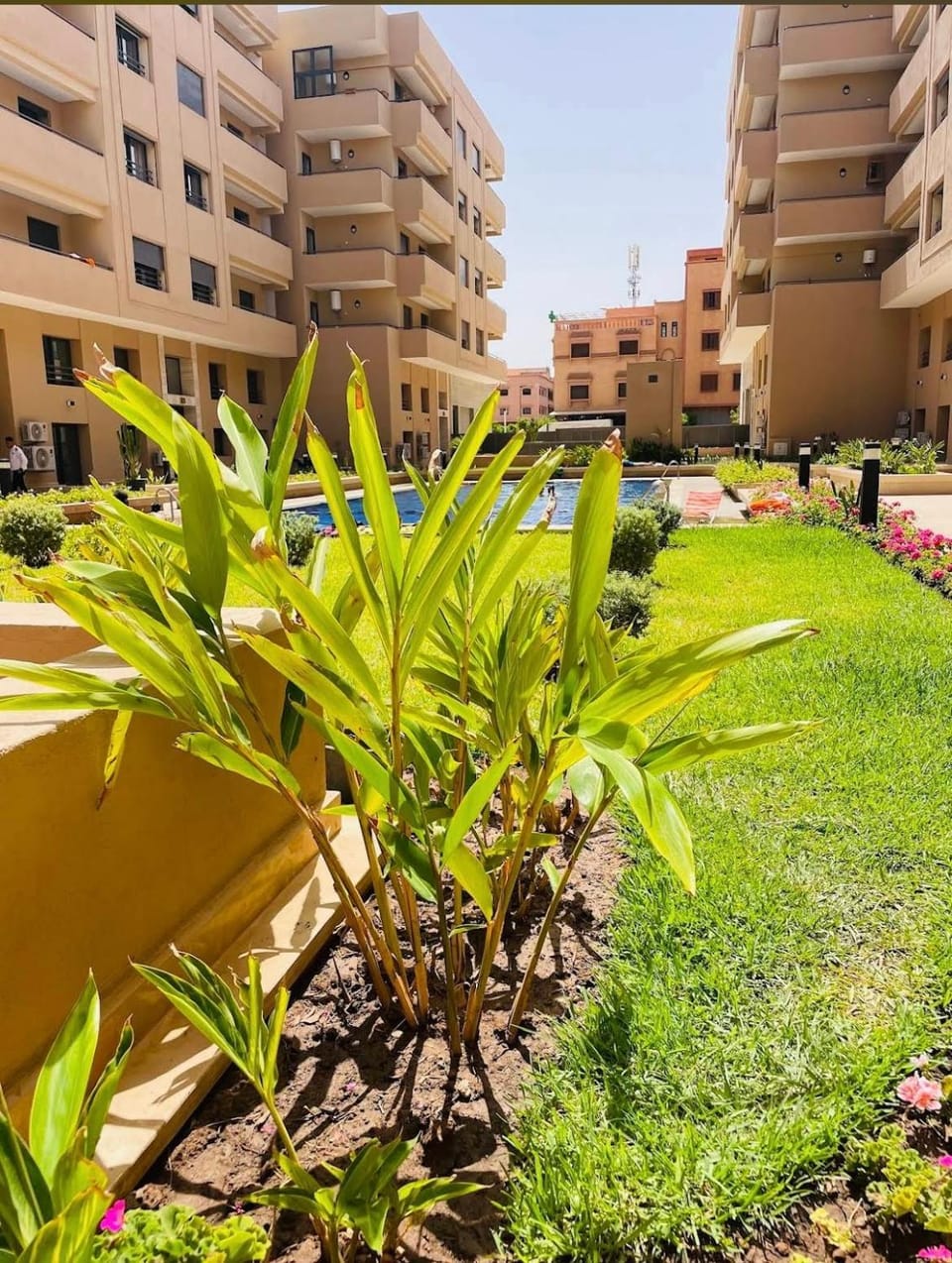 Magnifique appartement avec piscine Apartment in Marrakesh