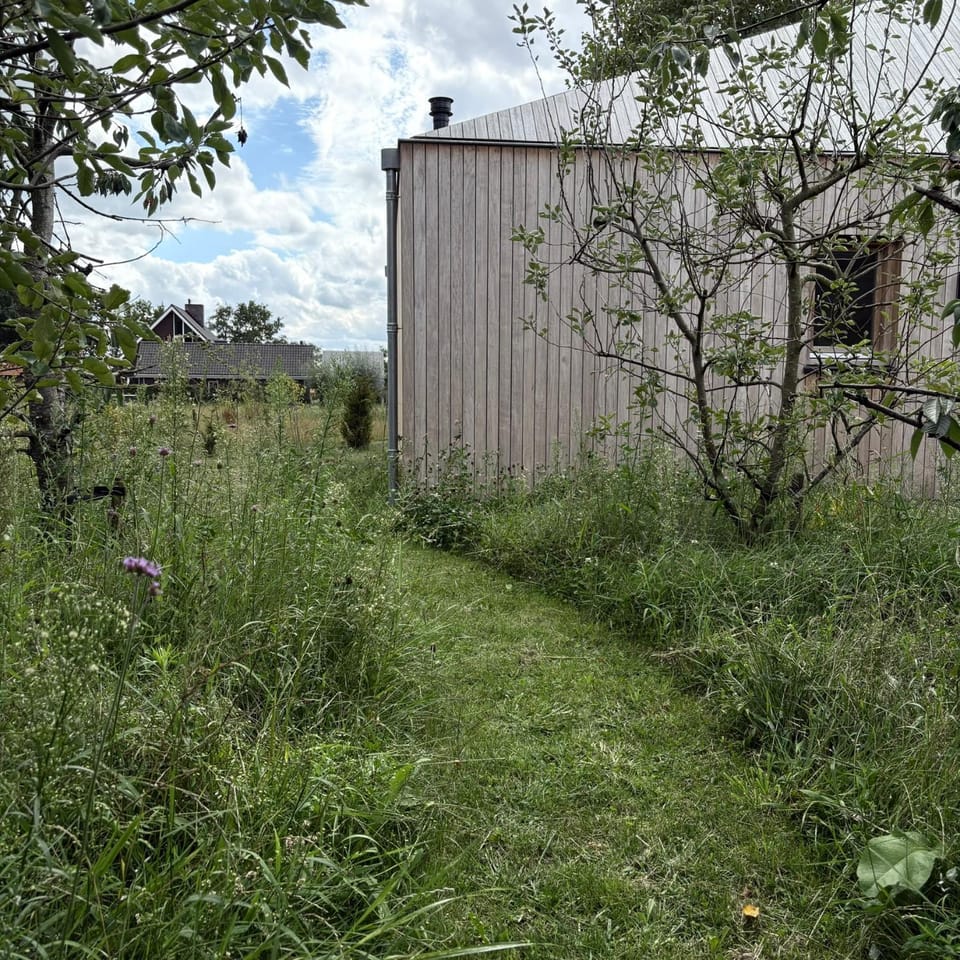 Spring, Day, Natural landscape, Garden, Garden view