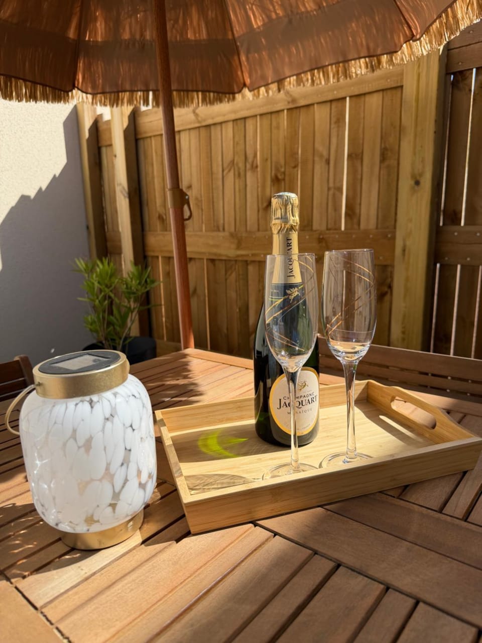 Garden, Drinks, Alcoholic drinks