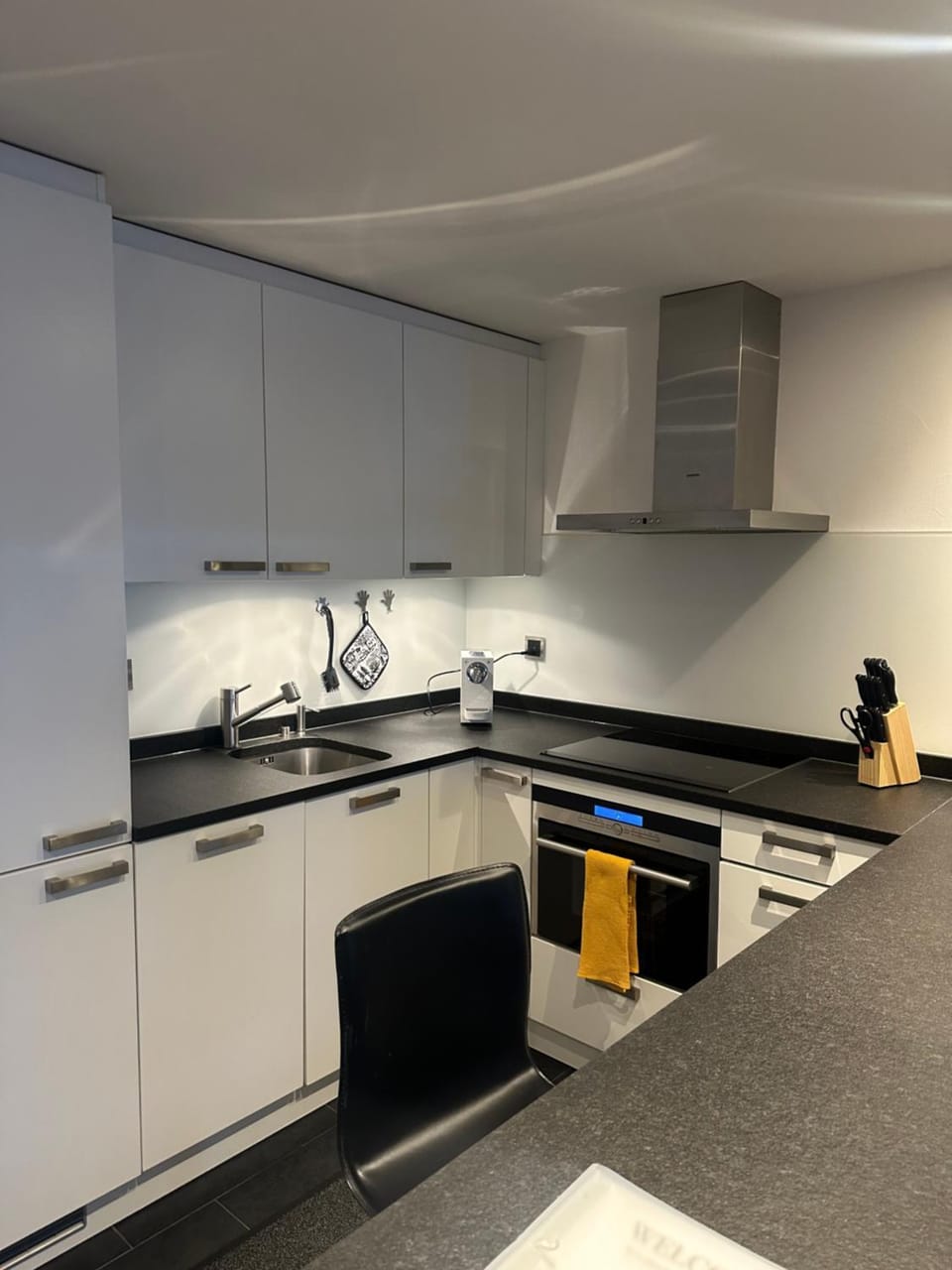Kitchen or kitchenette, dishwasher, stove