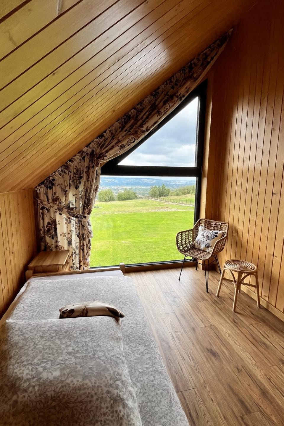 Bed, View (from property/room), Photo of the whole room, Bedroom