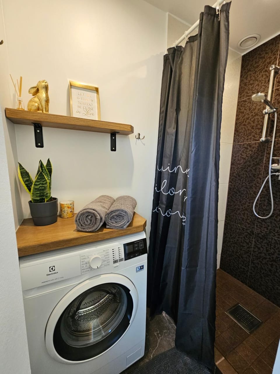 Shower, towels, washing machine