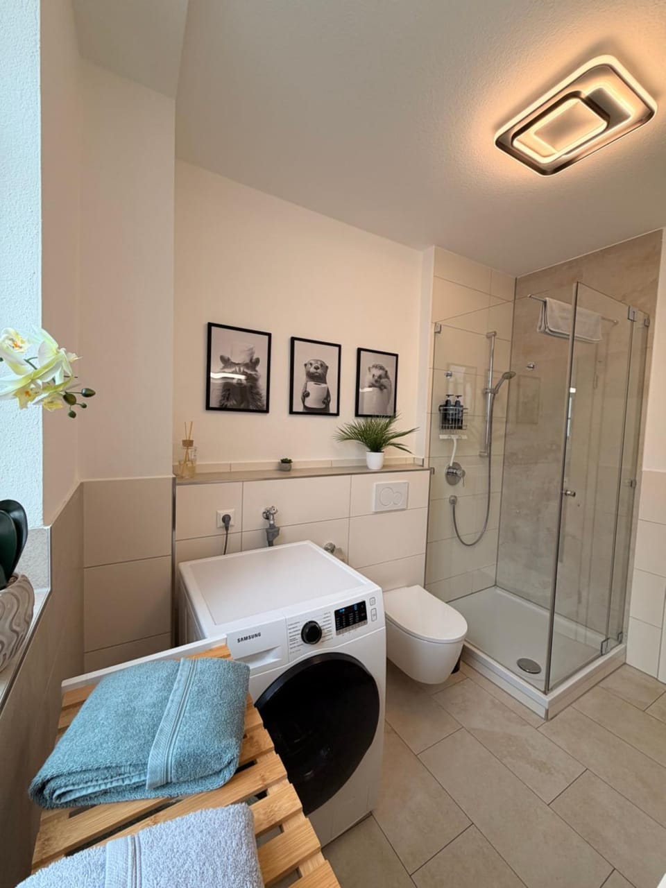 Shower, Toilet, towels, washing machine