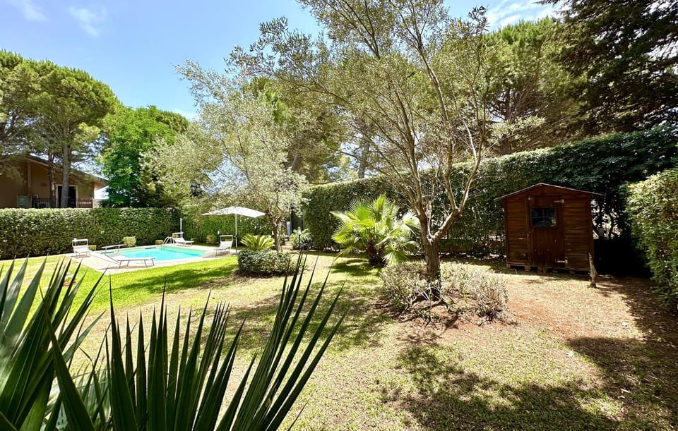 Garden, Garden view, Pool view, Swimming pool, sunbed