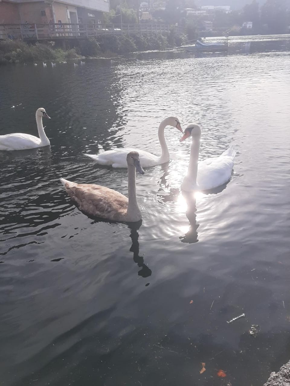 Villa MINSO - Alojamiento Vacation rental in Galicia