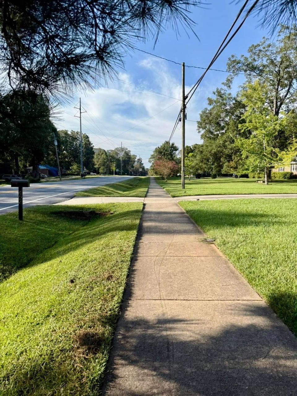 Day, Neighbourhood, Natural landscape, Street view