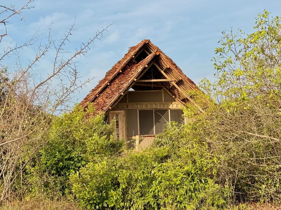 Saadani Beach Camp Campground/ 
RV Resort in Tanzania