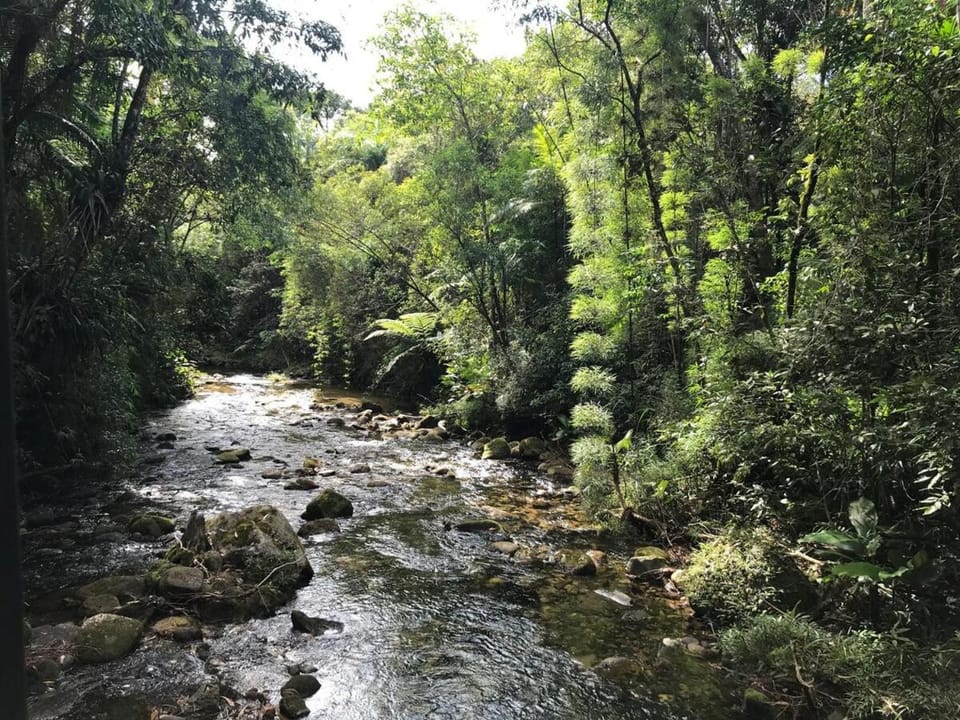 BEAUTIFUL CABIN in THE ATLANTIC FOREST WITH POOL Cabin in Nova Friburgo