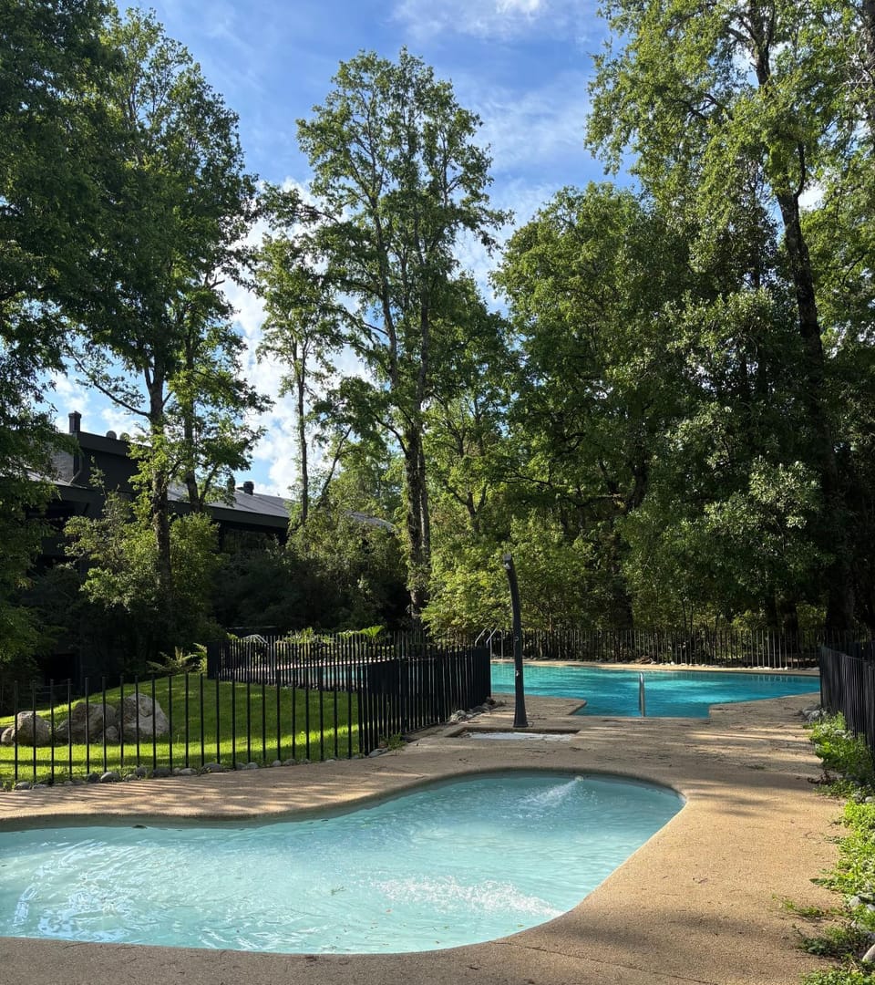 Natural landscape, Garden view, Swimming pool