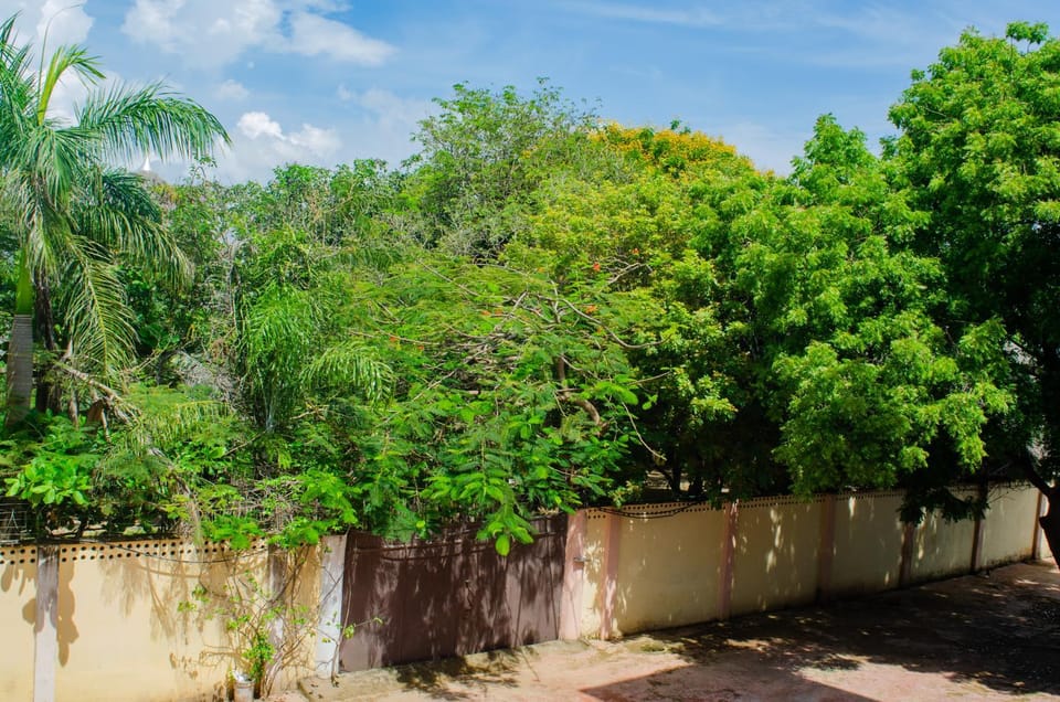 Property building, Day