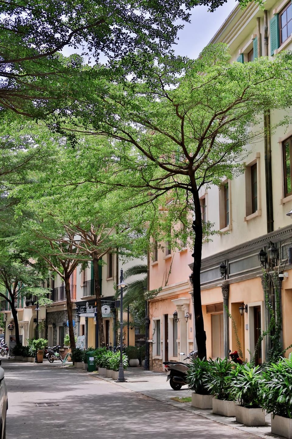 Neighbourhood, City view, Street view