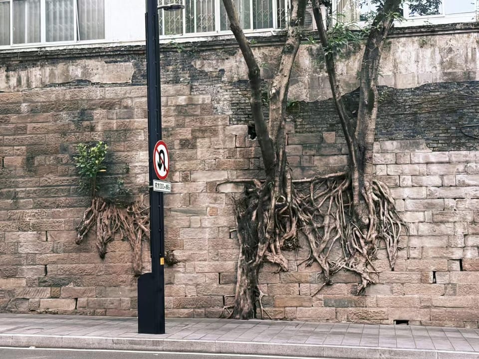落脚城市青年旅舍 Hostel in China