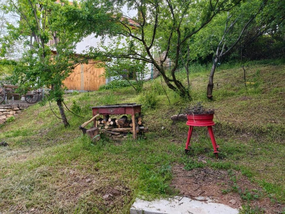 BBQ facilities, Garden, Garden view, Garden view