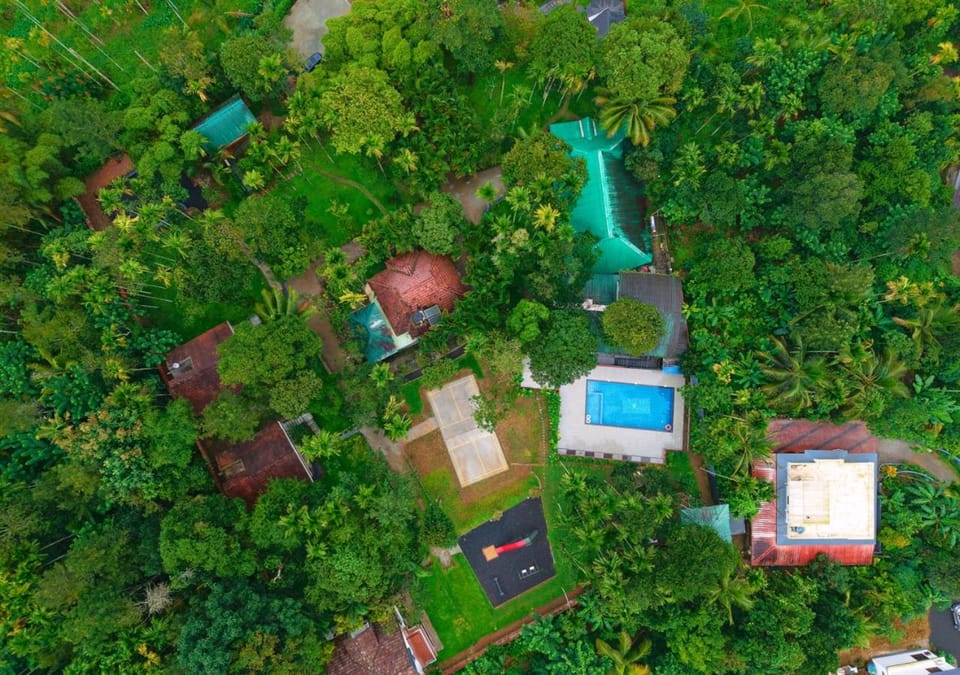 Natural landscape, Bird's eye view, Garden, Garden view, Pool view, Swimming pool, Swimming pool