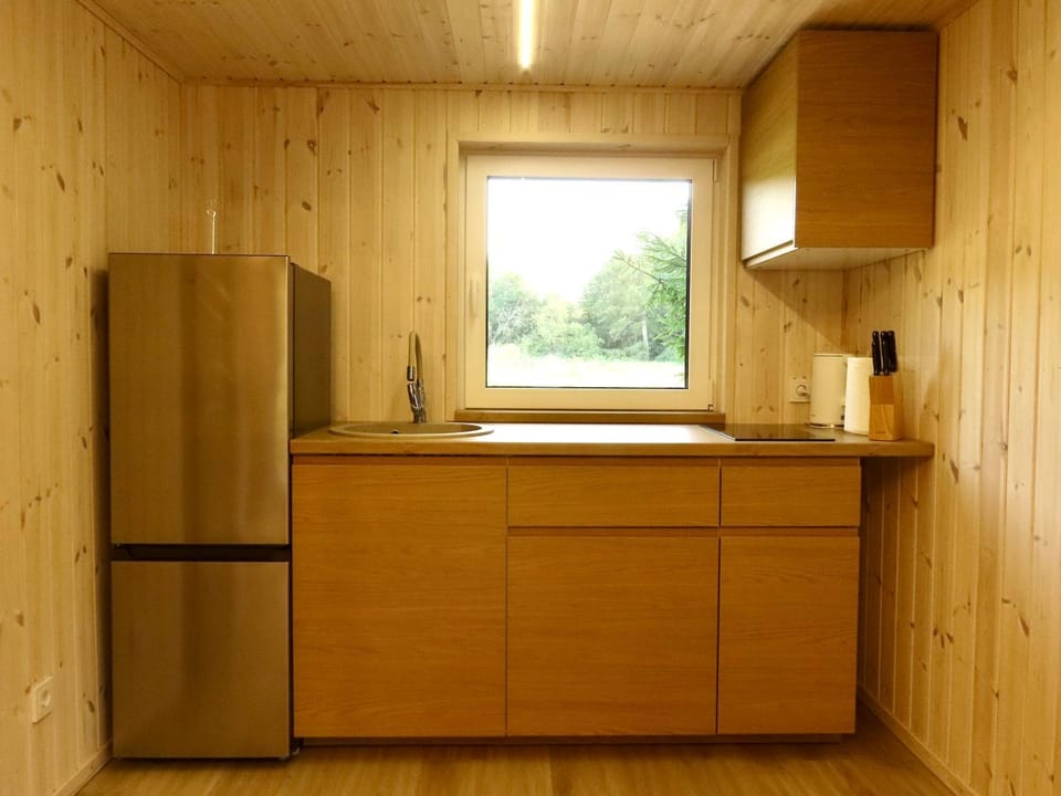 Gray House House in Lithuania