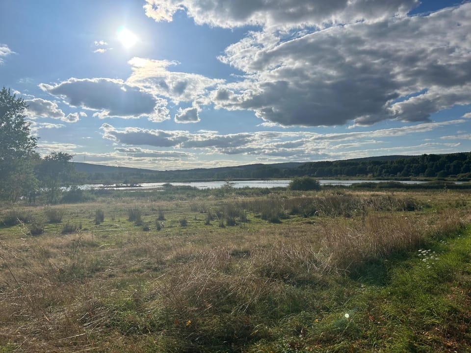 Lake view, River view
