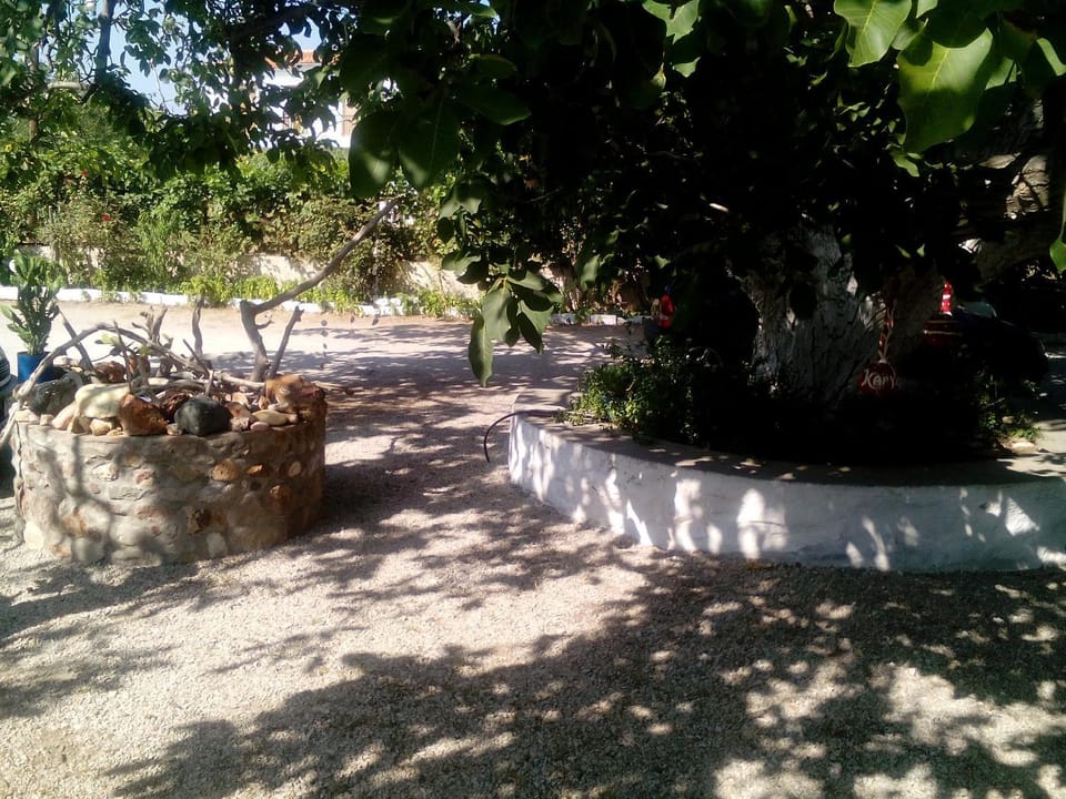 Property building, Day, Summer, Garden view
