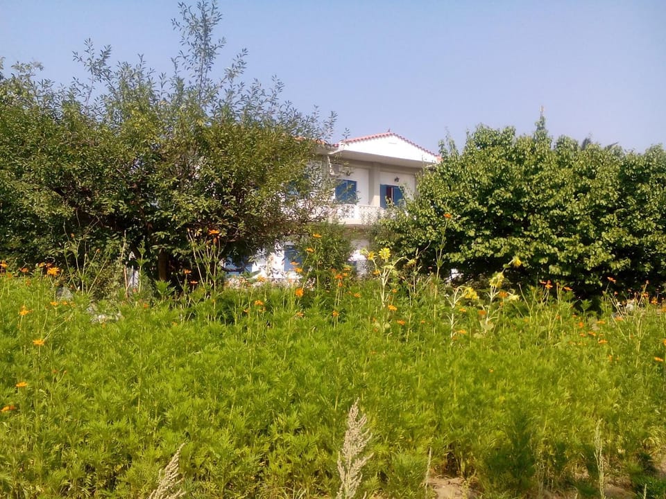 Property building, Natural landscape