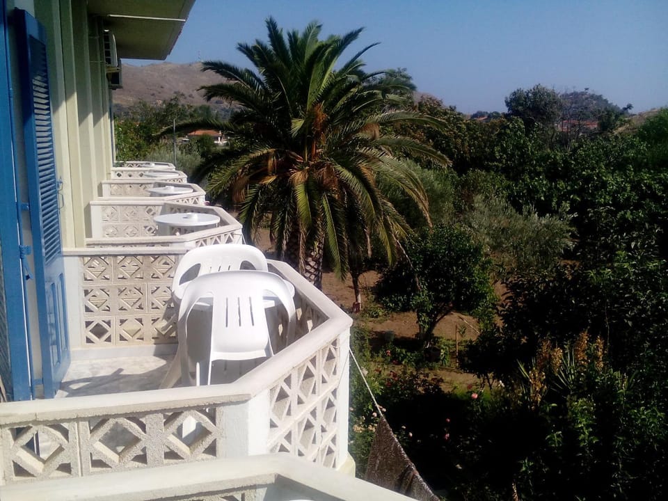 Property building, Garden view