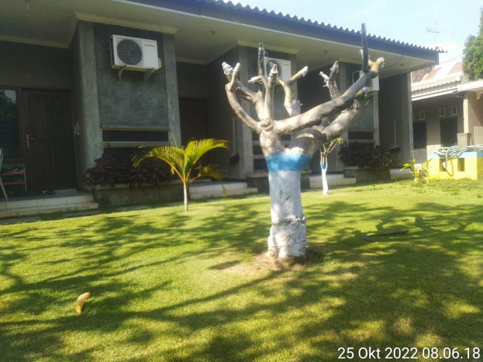 Garden, Garden view