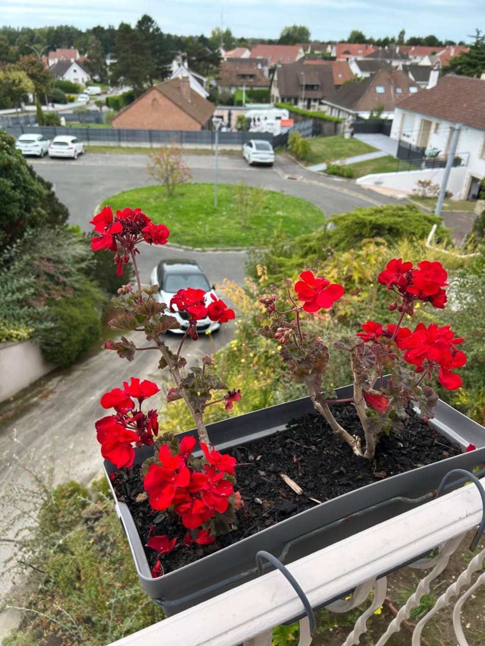 View (from property/room), Garden view, Quiet street view