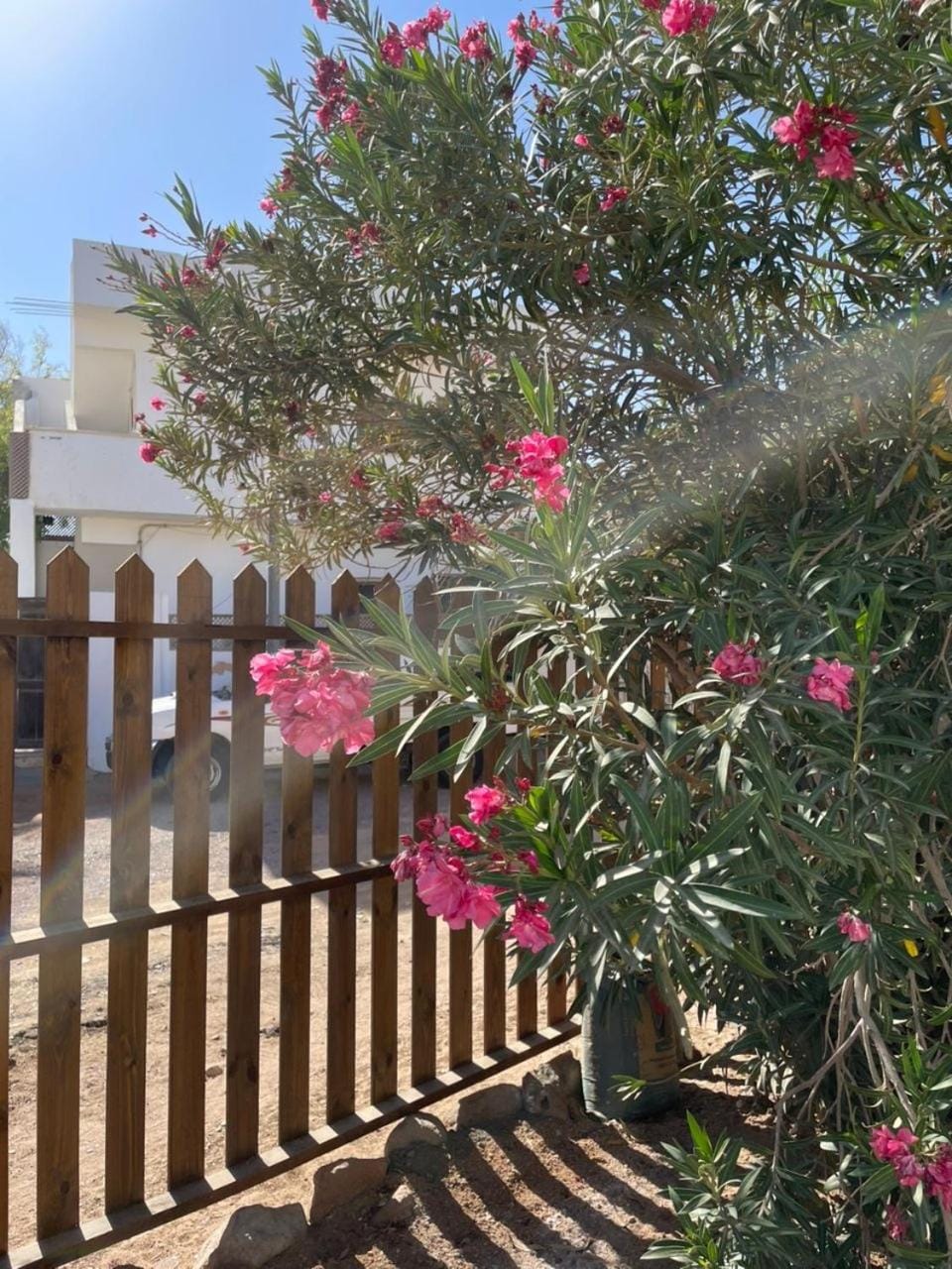 Wanasa House Bed and Breakfast in South Sinai Governorate