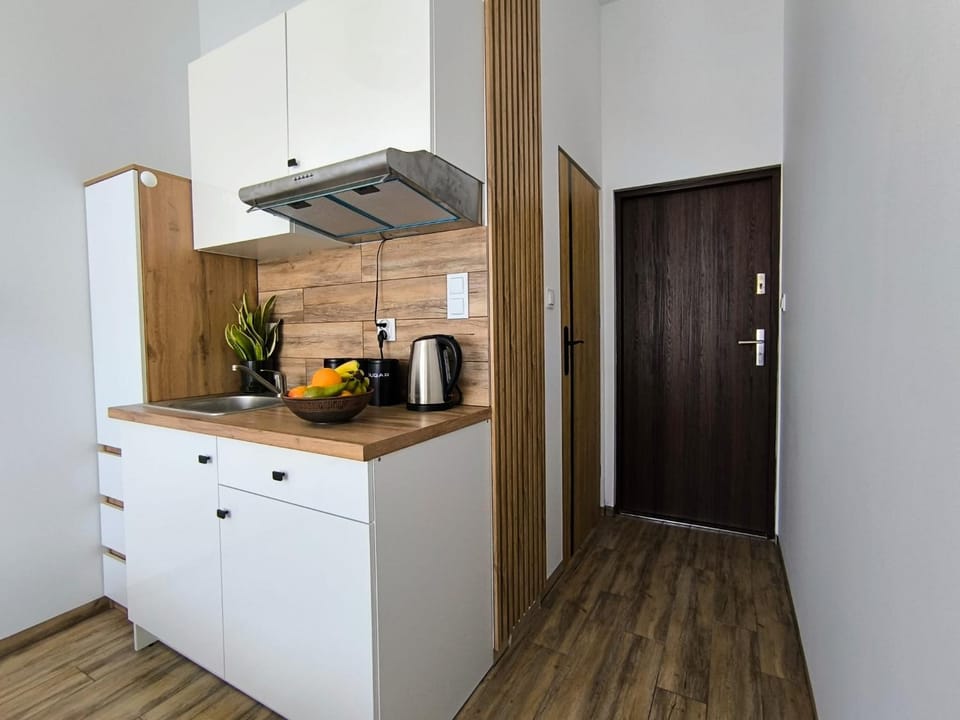 Place4You Studio w Sercu Ostródy Apartment in Poland