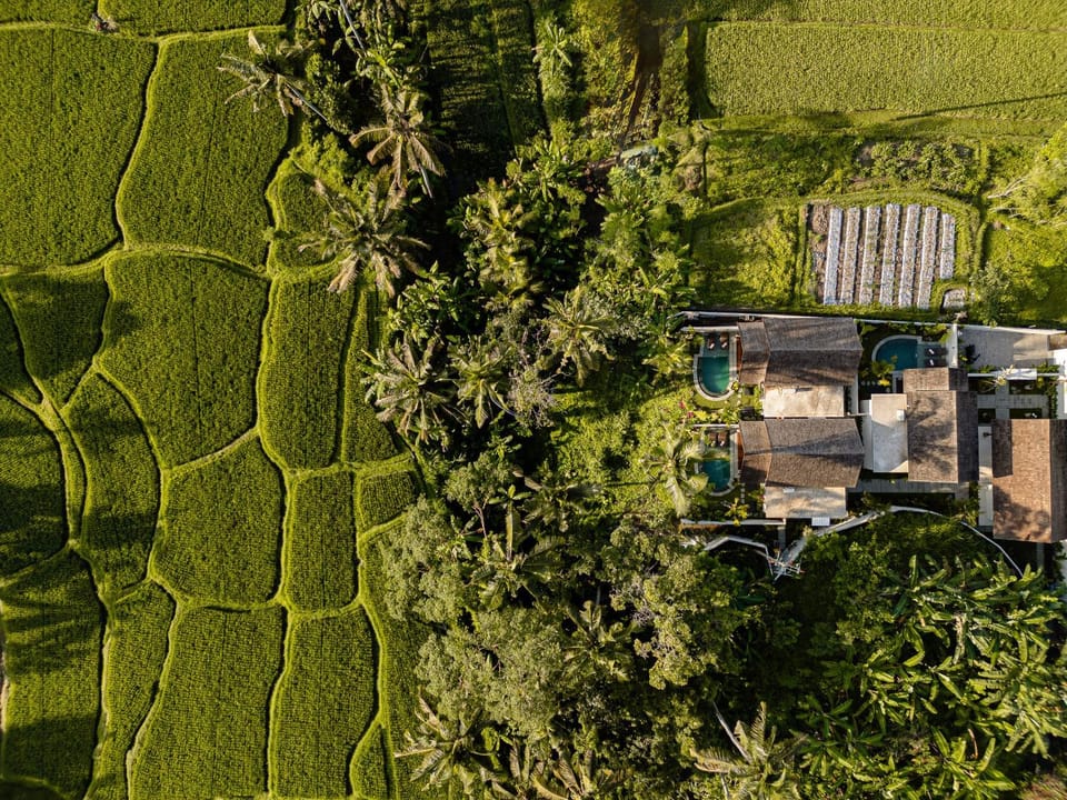 Property building, Neighbourhood, Natural landscape, Other, Area and facilities