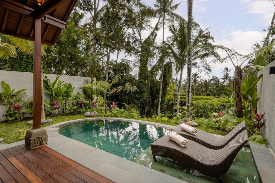 Patio, Spring, Day, Natural landscape, Garden, Garden view, Pool view, Swimming pool, sunbed