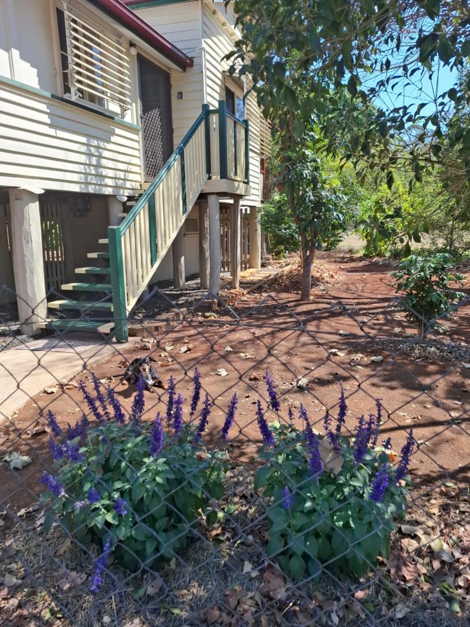 Spring, Garden, Garden view