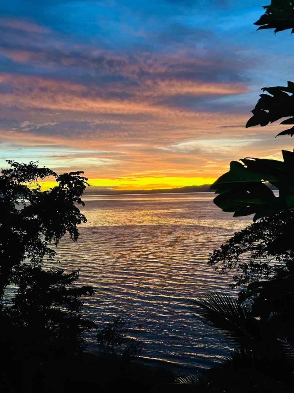 SurfNTurf Beach House Apartment in Fiji