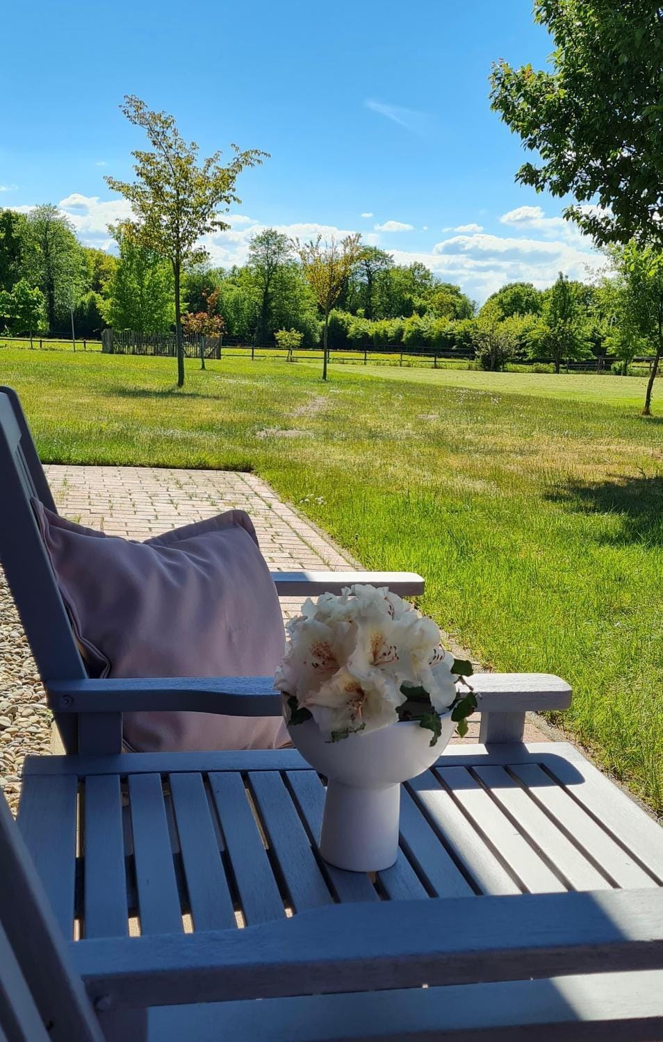 Garden, Garden, Garden view