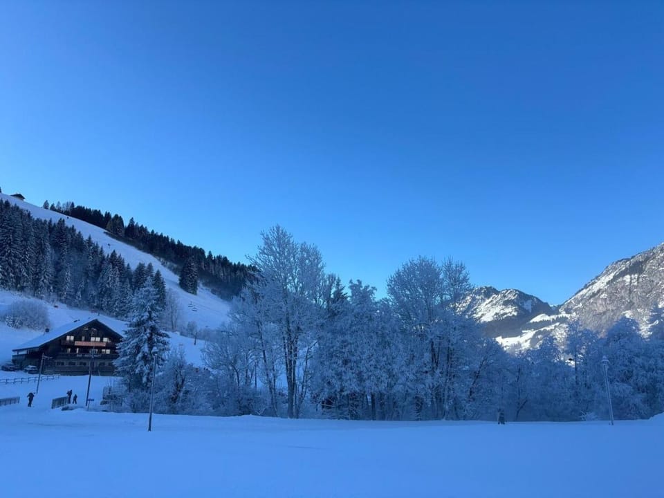 Le Cosy Apartment in Haute-Savoie