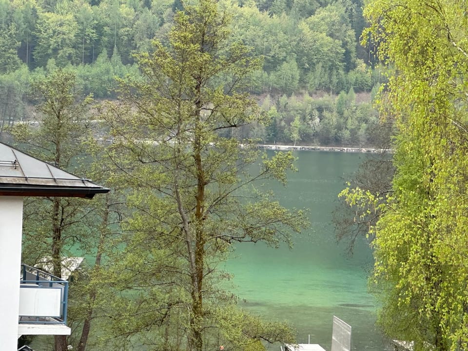 Lake view