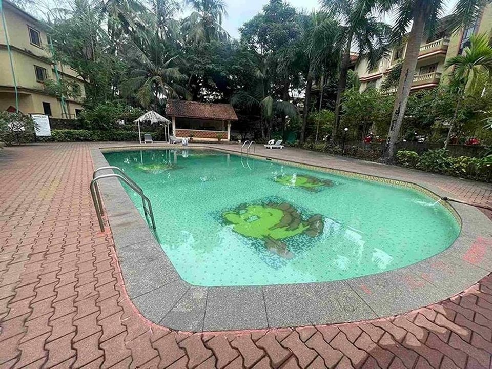 Swimming pool, Swimming pool