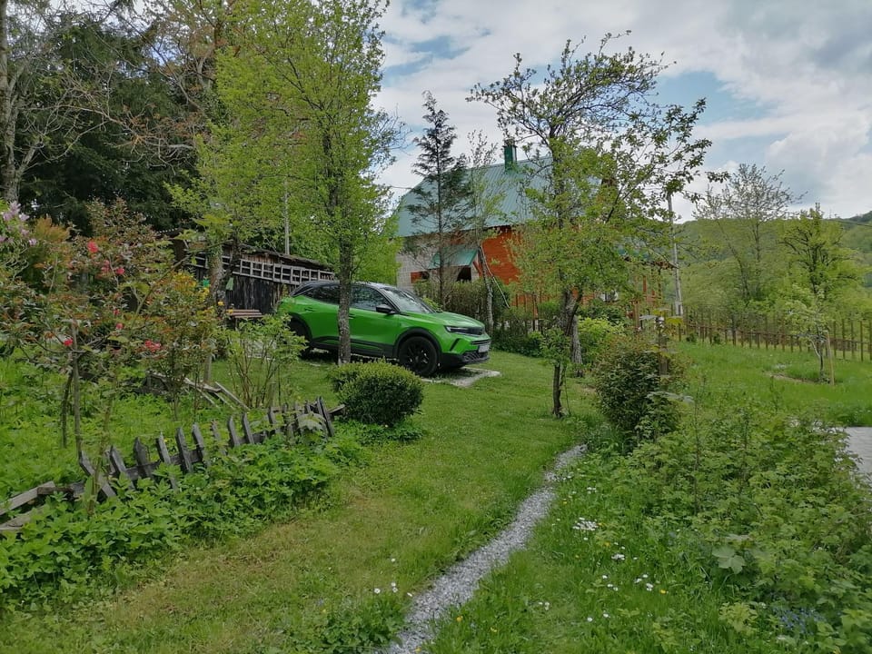 Spring, Day, Natural landscape, Garden, Garden view