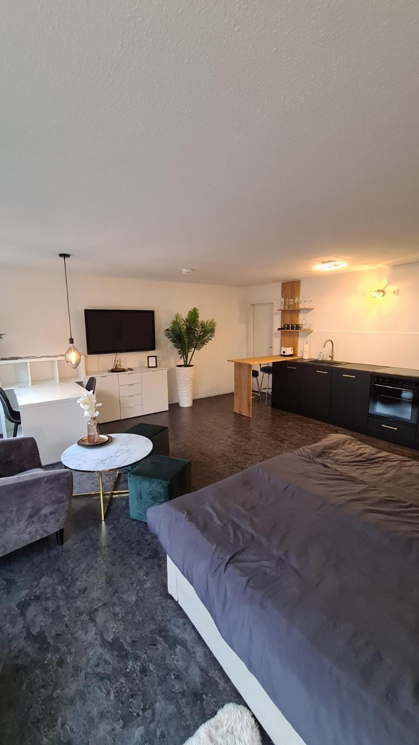 Bed, TV and multimedia, Living room, Seating area