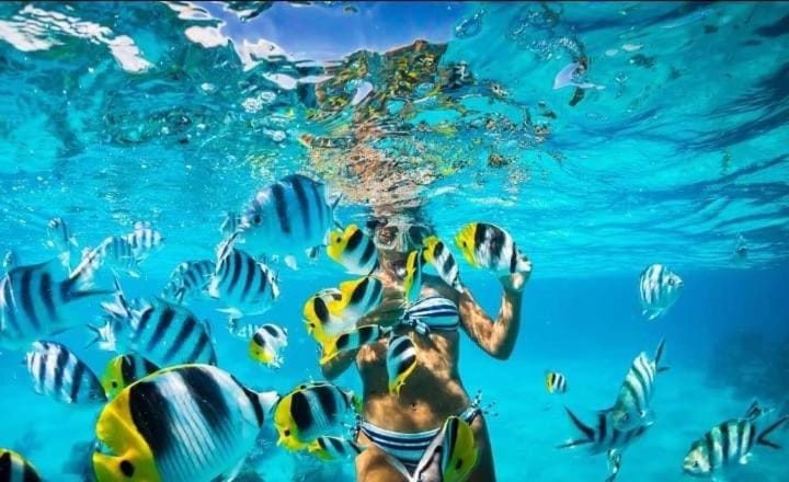 Tours a la isla saona Campground/ 
RV Resort in Punta Cana
