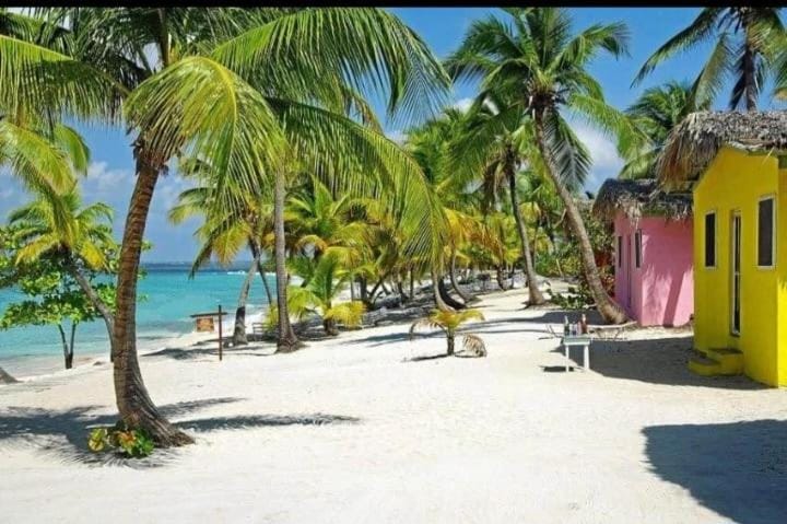 Tours a la isla saona Campground/ 
RV Resort in Punta Cana