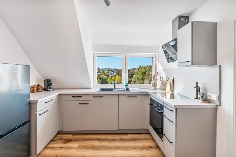 Kitchen or kitchenette, dishwasher, oven, stove
