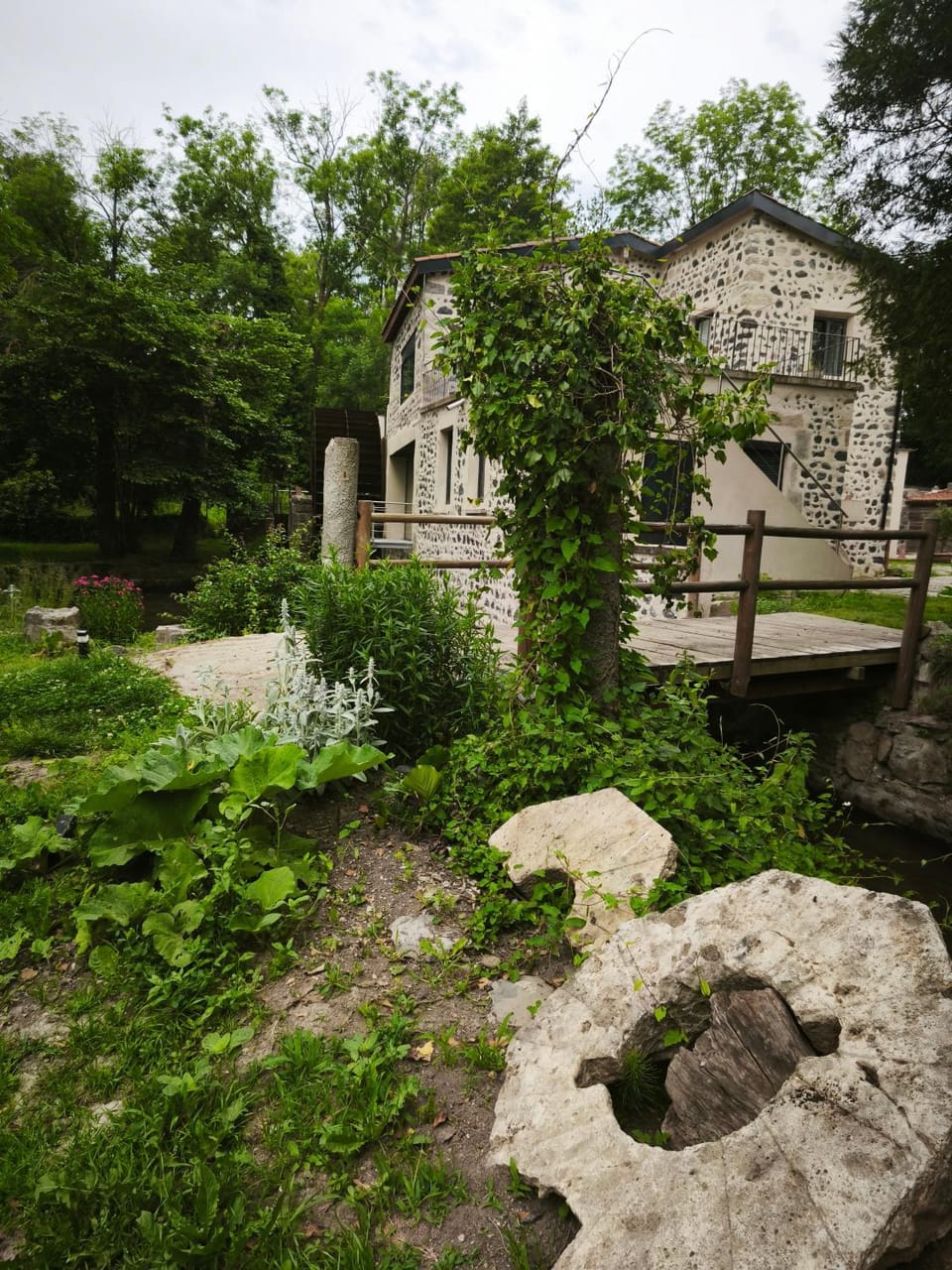 Natural landscape