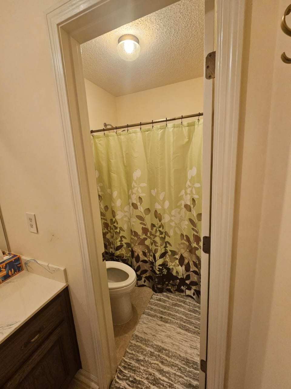 Toilet, Bathroom