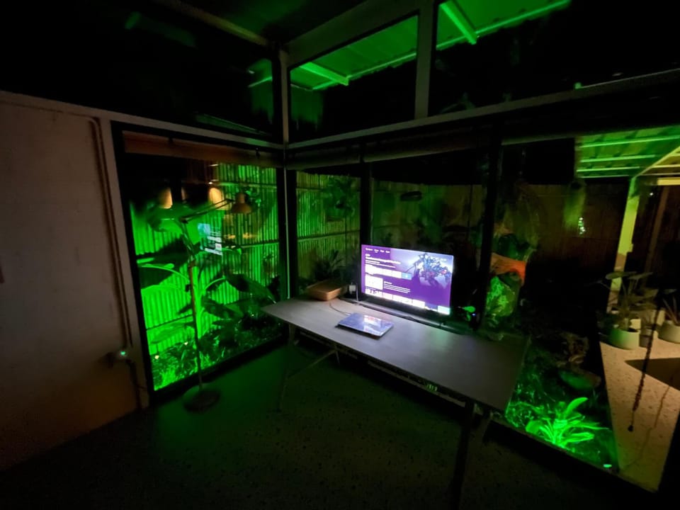 Night, TV and multimedia, Evening entertainment