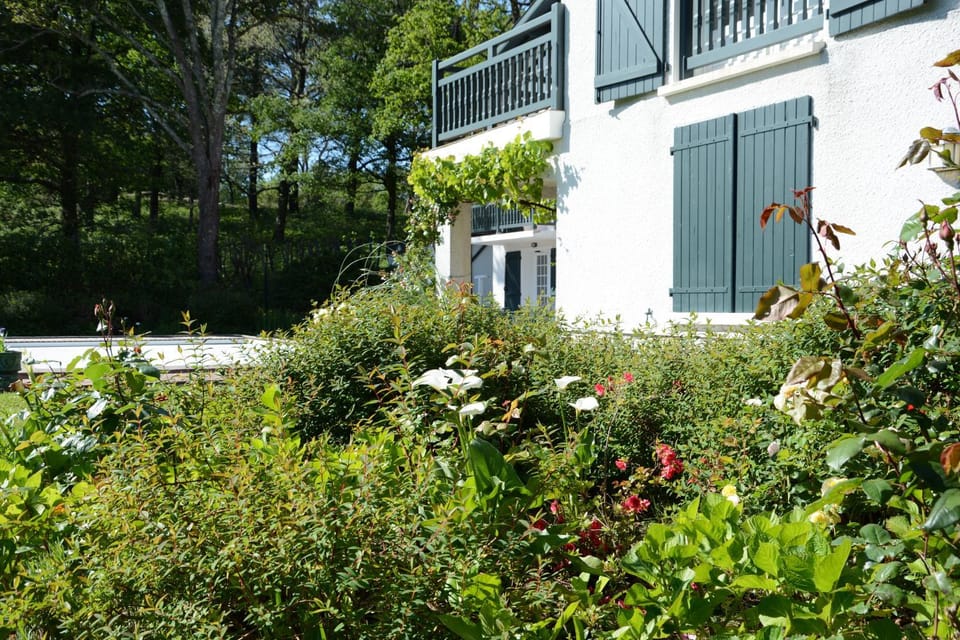 Garden, Garden view