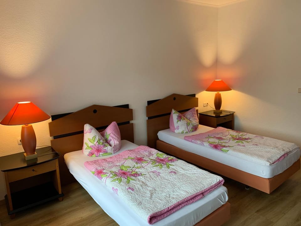 Pension Zur Libelle Apartment in Thuringia, Germany