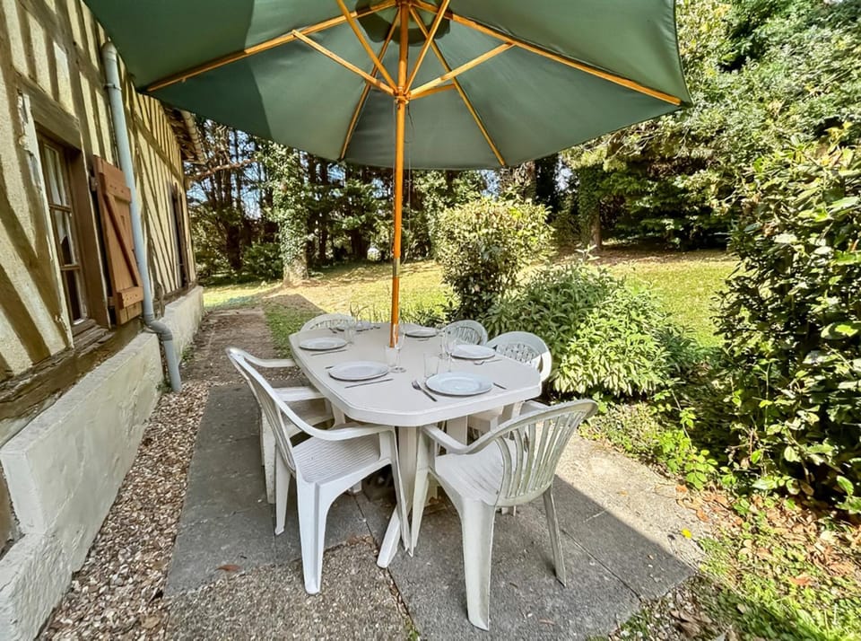 Patio, Garden