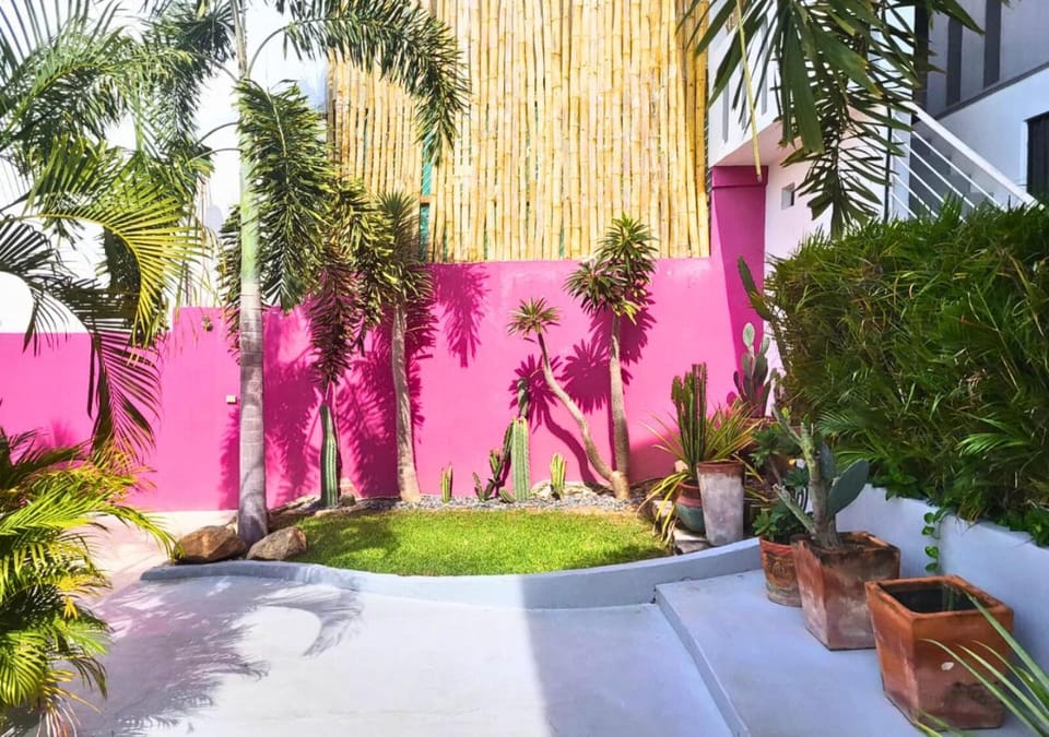 Spring, Day, Garden, Garden, Garden view