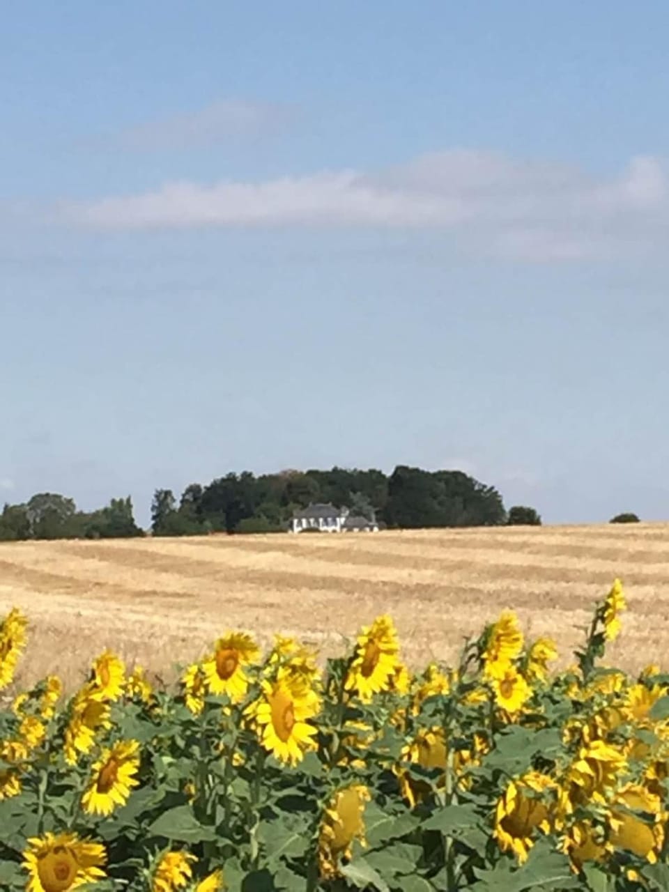 Cozy & stylish accommodation in a house near Perche Apartment in Centre-Val de Loire